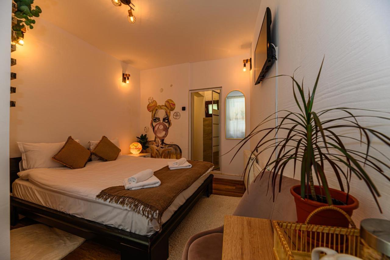 Backpacker'S Room Braşov Exteriör bild